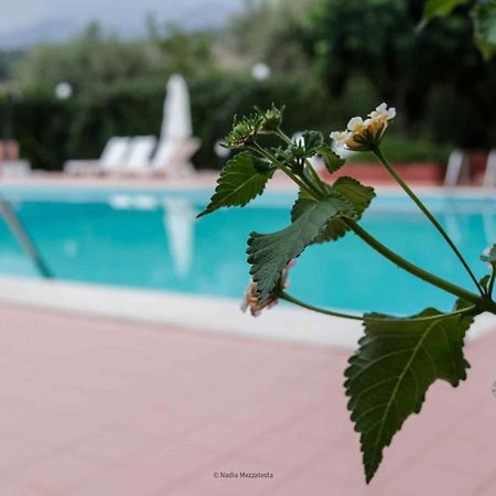 Il Casale Il Sole E La Margherita กัมโปเฟลิเช ดิ โรชเชลลา ภายนอก รูปภาพ