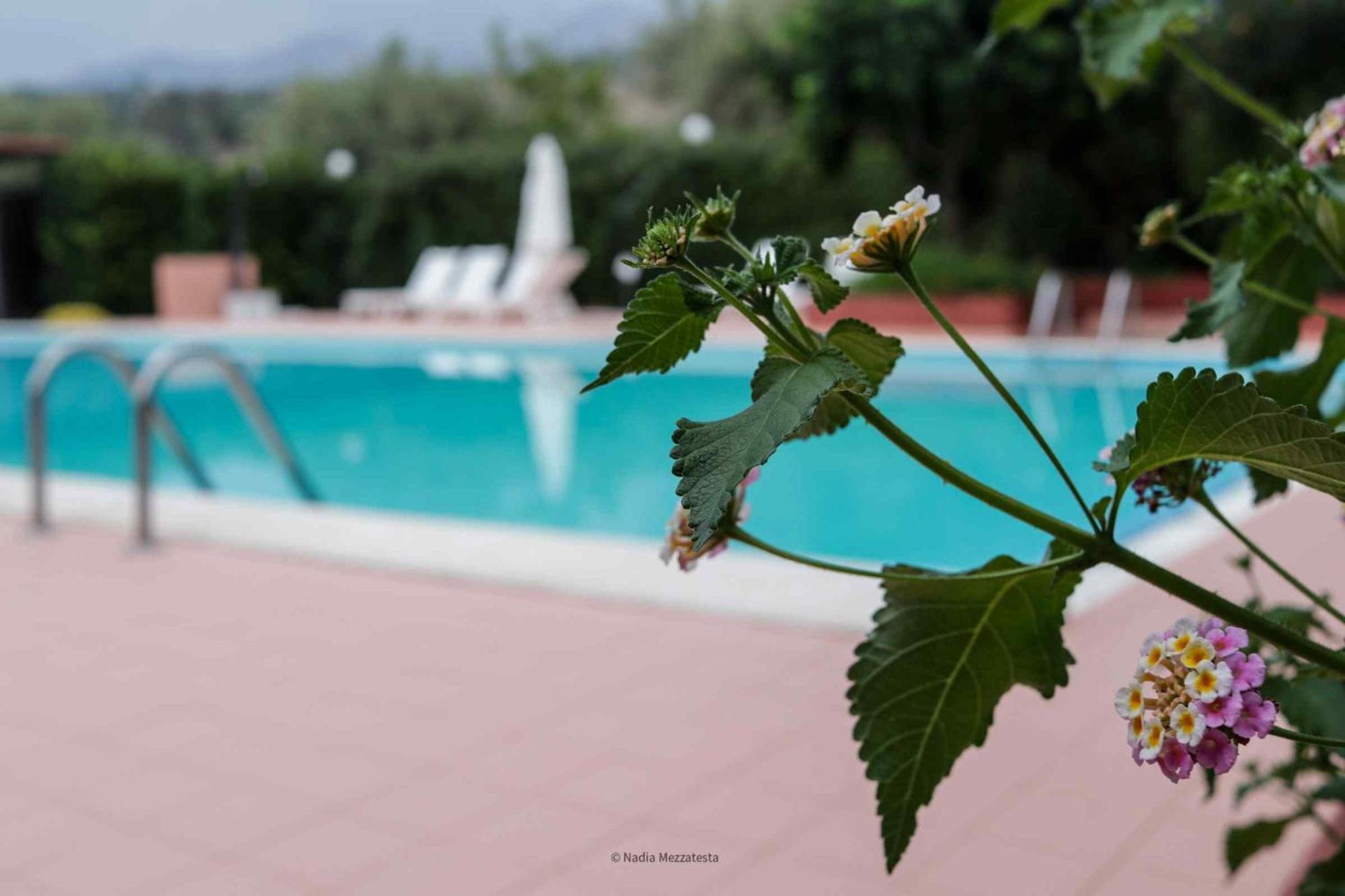 Il Casale Il Sole E La Margherita กัมโปเฟลิเช ดิ โรชเชลลา ภายนอก รูปภาพ
