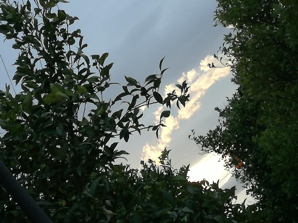 Il Casale Il Sole E La Margherita กัมโปเฟลิเช ดิ โรชเชลลา ภายนอก รูปภาพ