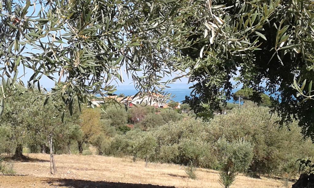 Il Casale Il Sole E La Margherita กัมโปเฟลิเช ดิ โรชเชลลา ภายนอก รูปภาพ